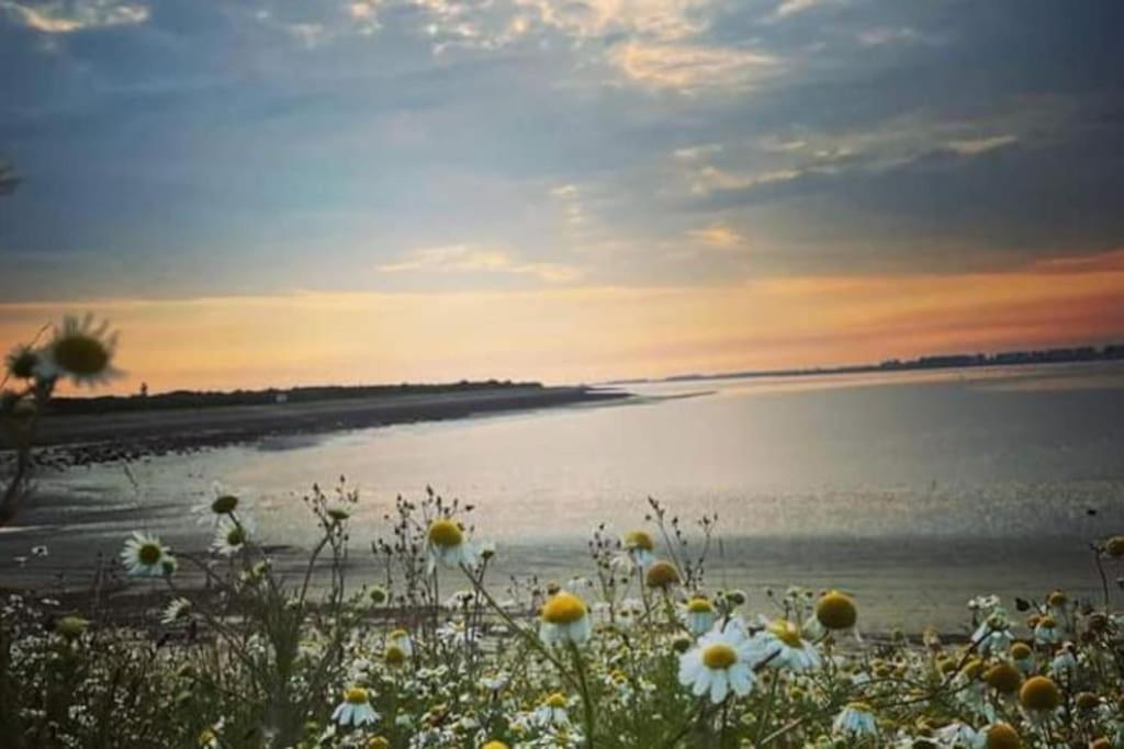 -Nieuw- Luxe & Sfeervol Vakantiehuis Tholen Dış mekan fotoğraf